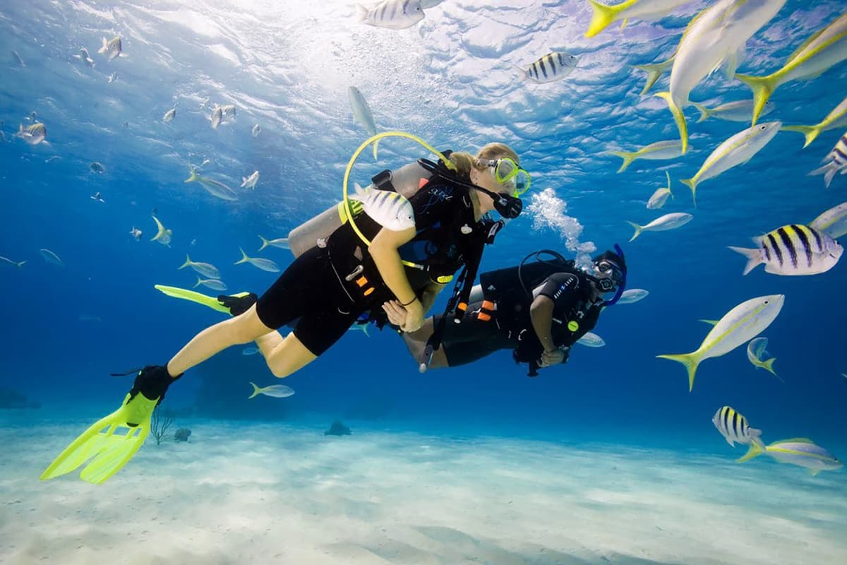 Подводное снаряжение для новичков: что выбрать в интернет-магазине