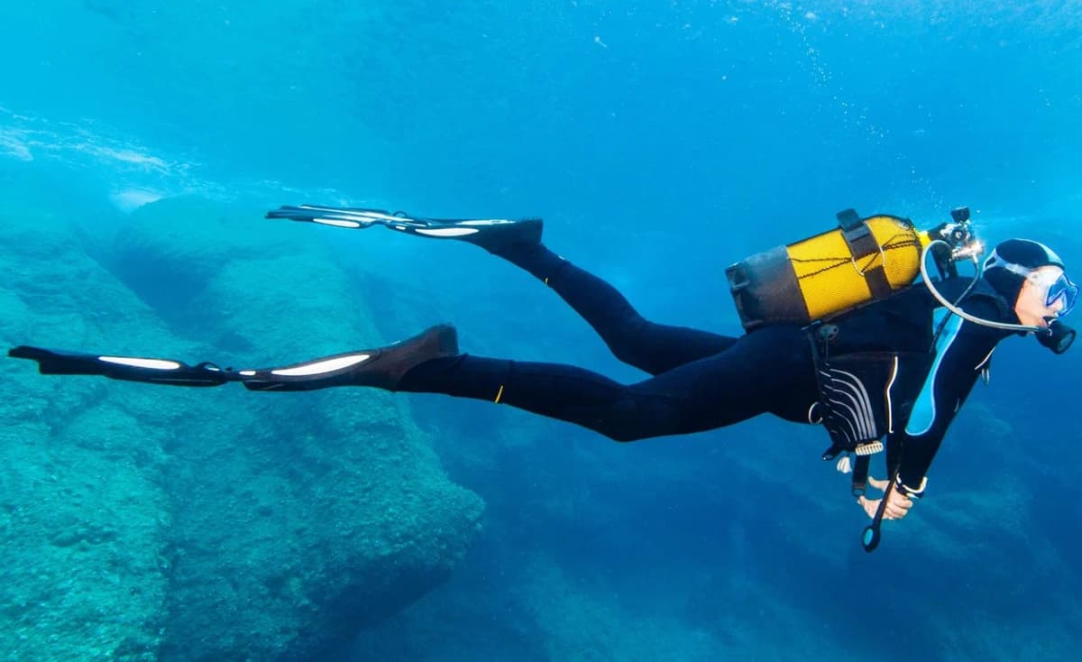 Во что упаковать подводное снаряжение в поездку на море для дайвинга: полный гид 2026