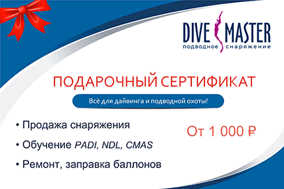 Муж дайвер? Подари ему снаряжение для дайвинга или подводной охоты на день рождения