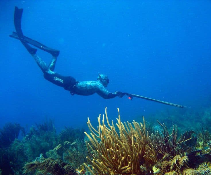 Сезон 2026 для дайвинга и подводной охоты: главные тренды и новинки снаряжения